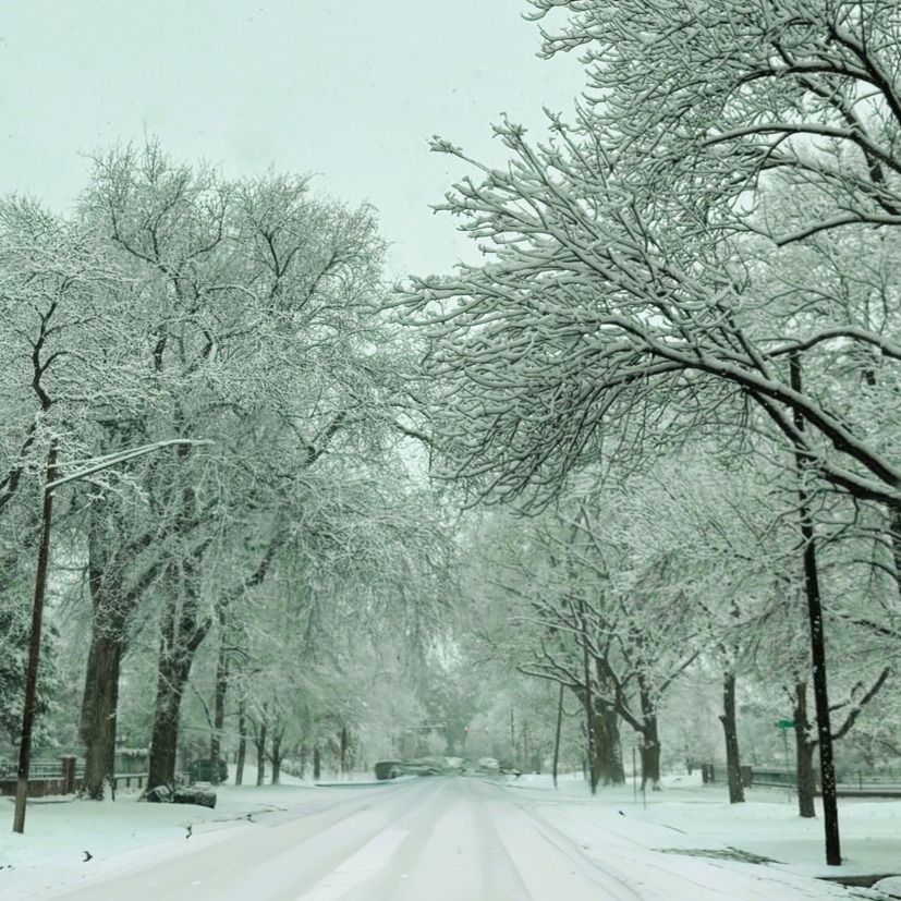 December ’25 Market Report